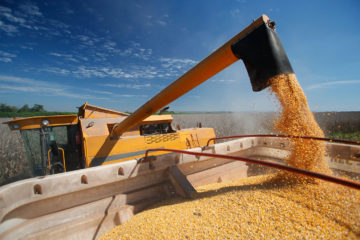 Soluções para Empresas Agrícolas