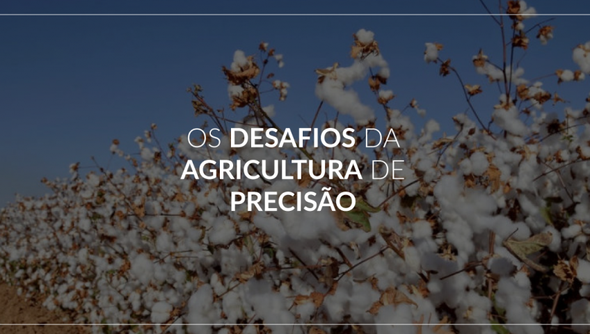 OS-DESAFIOS-DA-AGRICULTURA