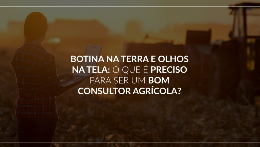 Botina-na-terra-e-olhos-na-tela