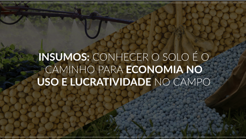 insumos---conhecer-o-caminho