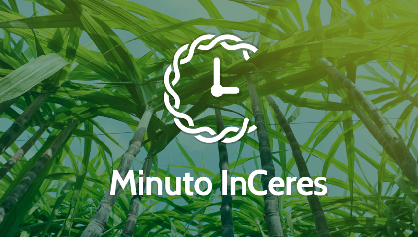 notícias agro