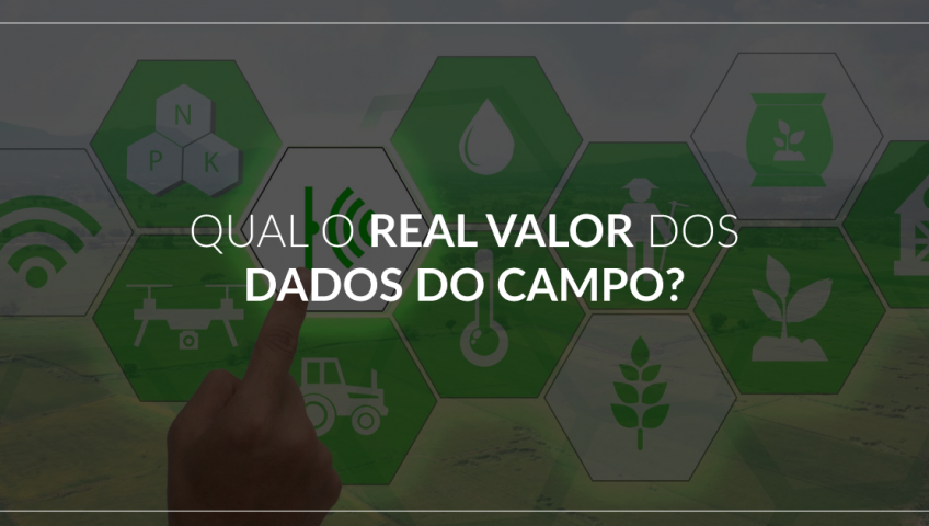 qual-o-real-valor-dos-dados-do-campo