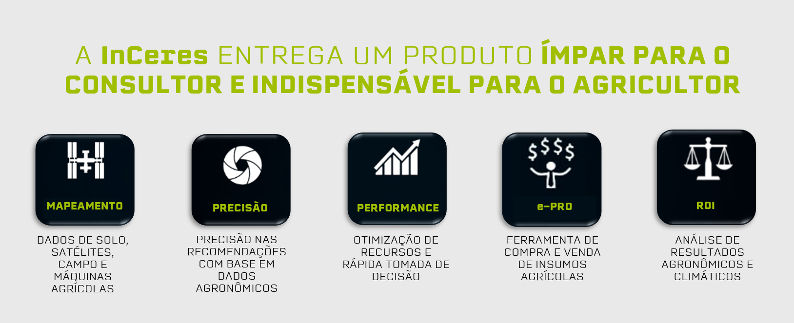 teste site 8