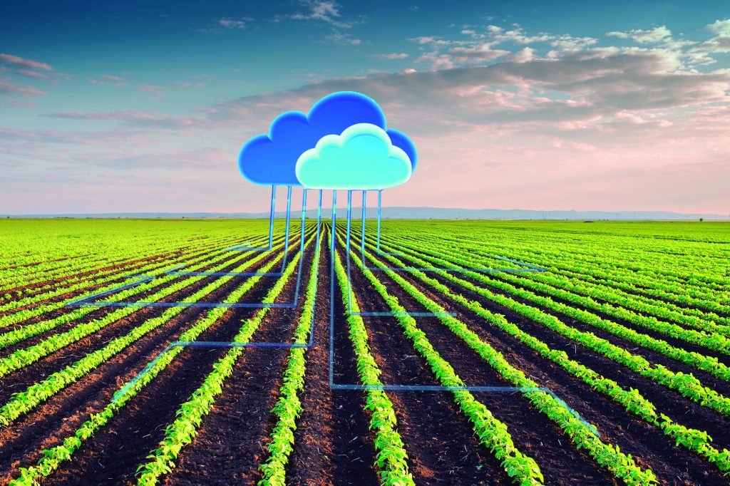 5 razões que provam que o futuro da agricultura de precisão está na computação em nuvem